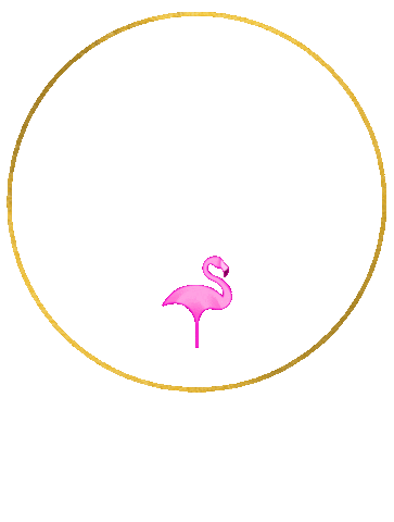 pinkflamingogoldcoast giphyupload pink fabulous flamingo Sticker