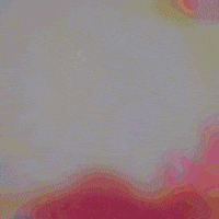 cebitche GIF by JANET40