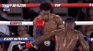 toprank fight boxing fighting espn GIF