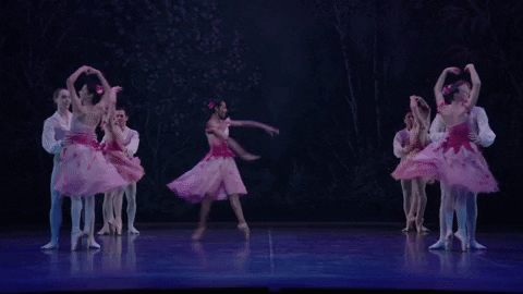 Nutcracker GIF by English National Ballet
