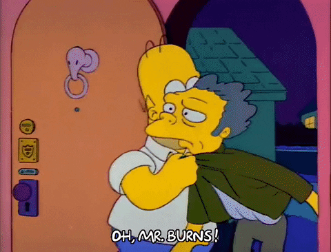 Season 2 Episode 13 GIF by The Simpsons