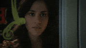 Michelle Veintimilla Vanessa GIF by ABC Network