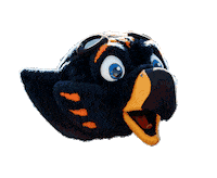 utmartin utm skyhawks ut martin university of tennessee at martin Sticker