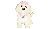 Happy Dog Goldendoodle Sticker by zoopeez