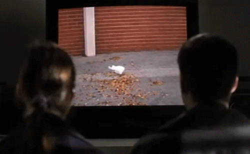 american beauty GIF by Cheezburger