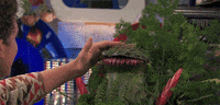 henry danger GIF by Nickelodeon