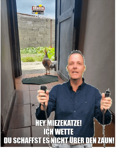 hanieldecker giphygifmaker giphyattribution hive GIF