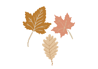 illustratingiris fall autumn leaves fall leaves Sticker