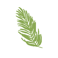 Palm Tree Dancing Sticker by Ashley Rose Clothing