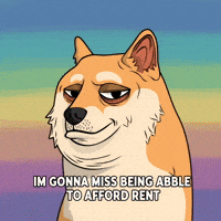 Sad Shiba Inu GIF by Doge Pound