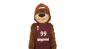 Thanks Mascot Sticker by FC Bayern Basketball