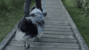 prawn rooftops GIF by Topshelf Records