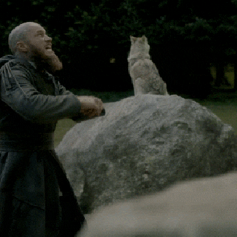 vikings GIF