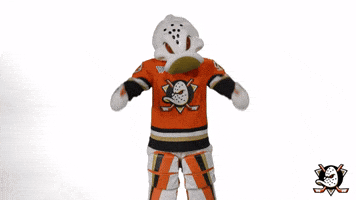 Wild Wing Yes GIF by Anaheim Ducks