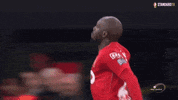 football celebration GIF by Standard de Liège