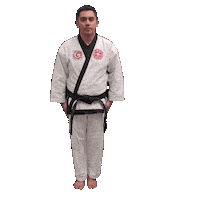 Karate Taekwondo Sticker by Team GMA