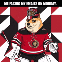 Ice Hockey Lol GIF by Doge Pound