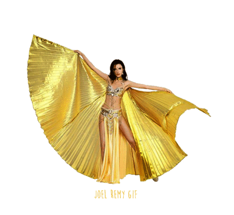 gold sticker by joelremygif