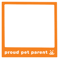 Sticker Reaction Sticker by Best Friends Animal Society