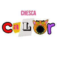Summer Color Sticker by CHESCA