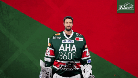 Del Aev GIF by Augsburger Panther Eishockey GmbH