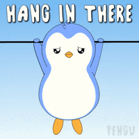You Can Do It Help GIF by Pudgy Penguins