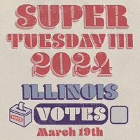 Vote Election GIF