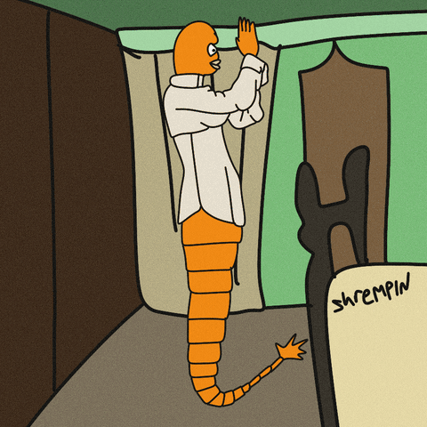 Web3 GIF by shremps