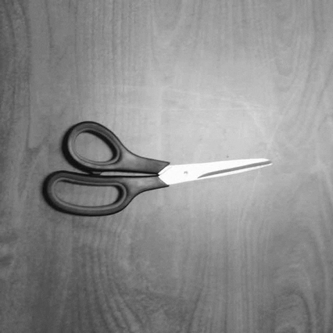 scissors GIF by eevr