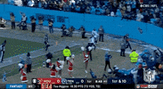 Tennessee Titans Football GIF by NFL