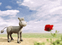 Rose Smile GIF by Pablo Lopez