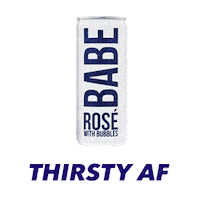 Drunk Sparkling Wine Sticker by BABE Wines