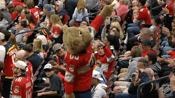 Happy National Hockey League GIF by NHL