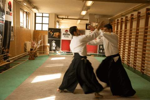 technique aikido GIF