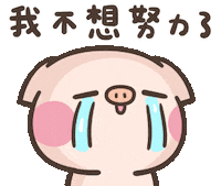 Cry Pig Sticker