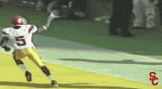 Celebrate Reggie Bush GIF by USC Trojans