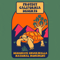 Camping Climate Change GIF by INTO ACTION
