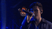Stephen Colbert GIF by The Late Show With Stephen Colbert