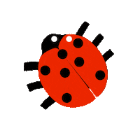 Bug Insect Sticker by National Trust