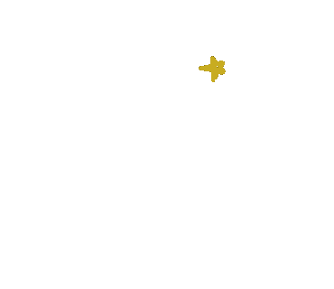 Star Sticker