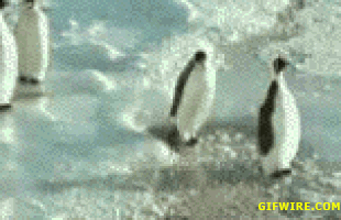 GIF by Demic
