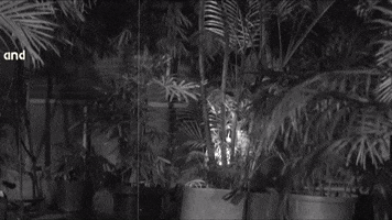 Trouble In Paradise Singing GIF by Sony Music Africa