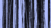 Nicaelectronica GIF by Kaschemme