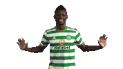 Celtic Fc Sport Sticker by Celtic Football Club
