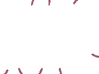 Tolerave Sticker by seebrückedresden