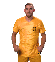 Janssen Celebrating Sticker by OnsOranje