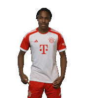 Football Sport Sticker by FC Bayern Munich