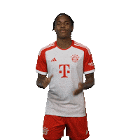 Football Smile Sticker by FC Bayern Munich