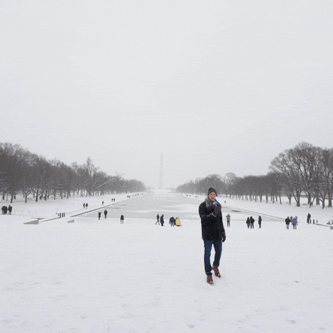 Education Voting GIF by PBS