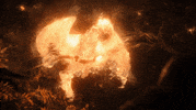 Adow GIF by A Discovery of Witches